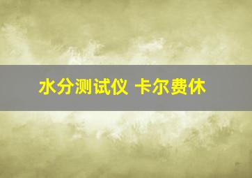 水分测试仪 卡尔费休